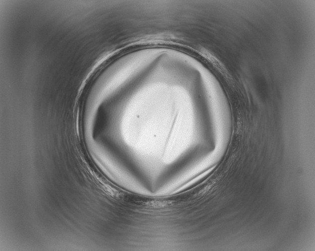 X0000052981224200508051032