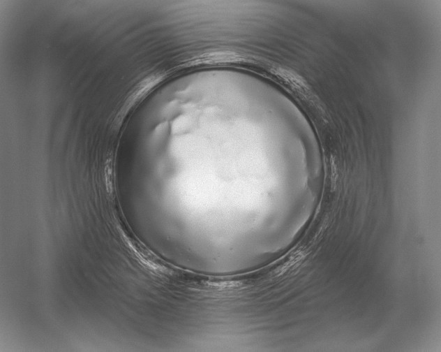 X0000052981225200508051032