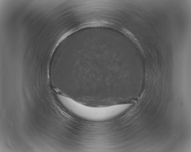 X0000052981226200508051032