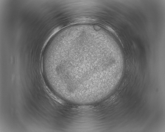 X0000052981227200508051032