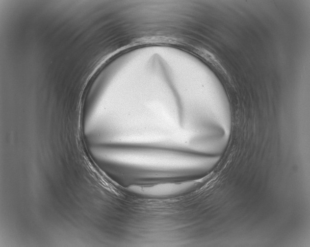 X0000052981228200508051032