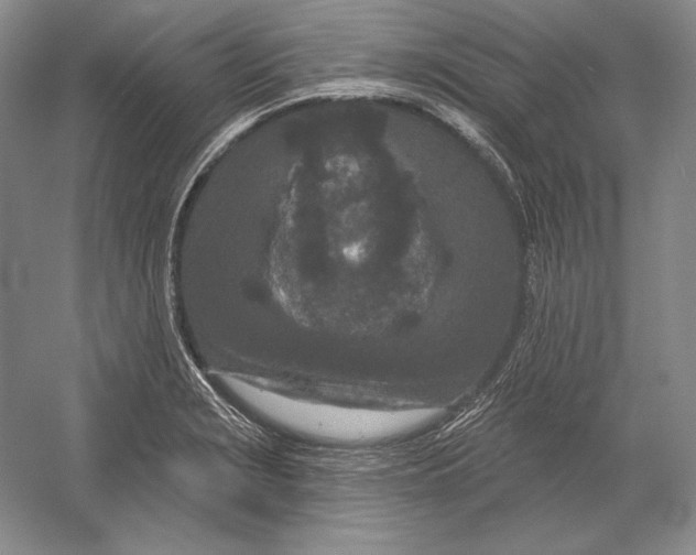 X0000052981229200508051032