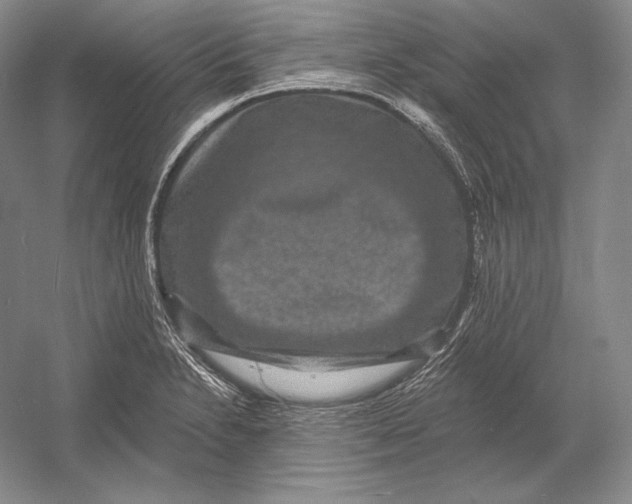 X0000052981230200508051032