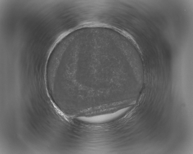 X0000052981231200508051032