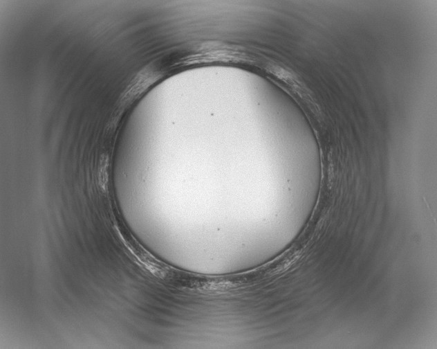 X0000052981233200508051032