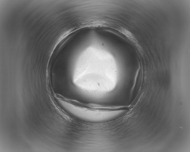 X0000052981234200508051032