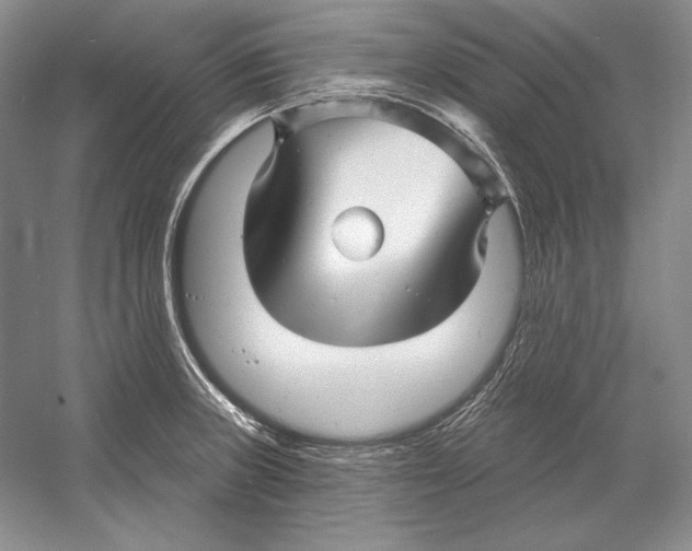 X0000052981235200508051032