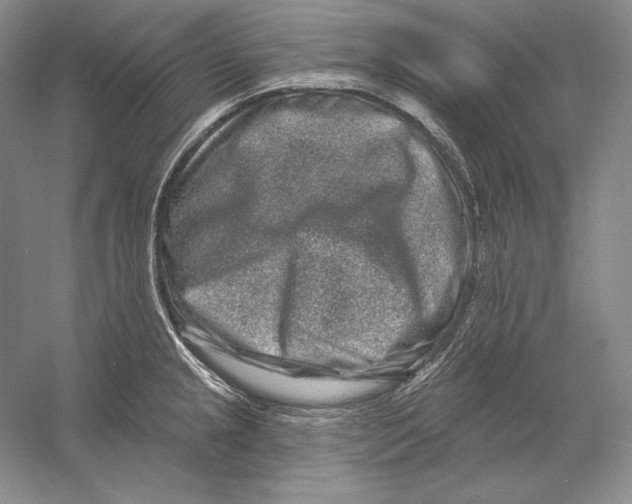 X0000052981237200508051032