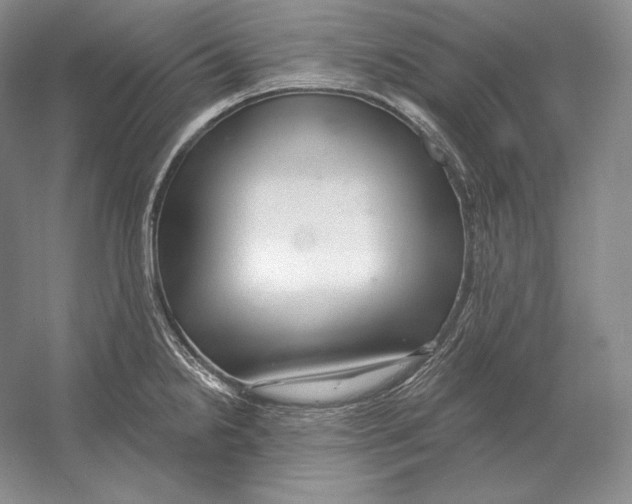 X0000052981238200508051032