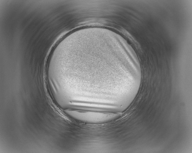 X0000052981240200508051032