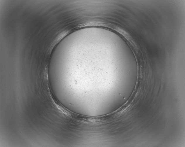 X0000052981241200508051032