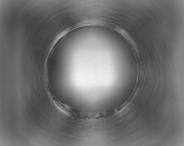 X0000052981242200508051032