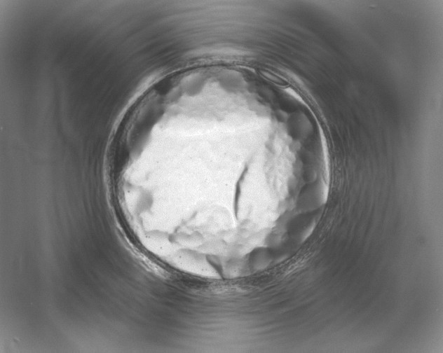 X0000052981243200508051032