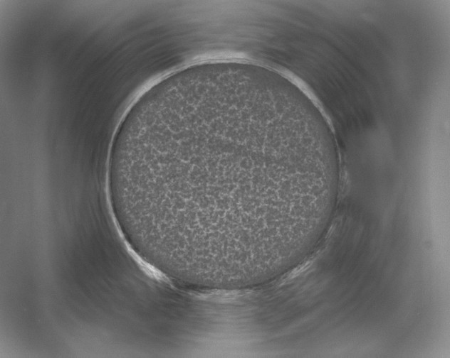 X0000052981245200508051032