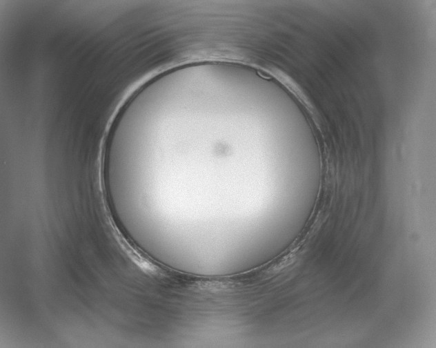 X0000052981246200508051032