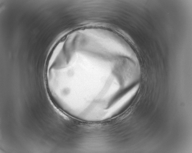 X0000052981247200508051032