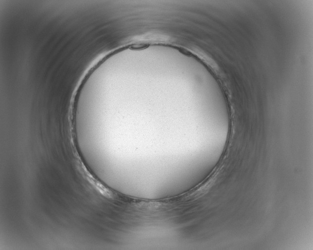 X0000052981248200508051033