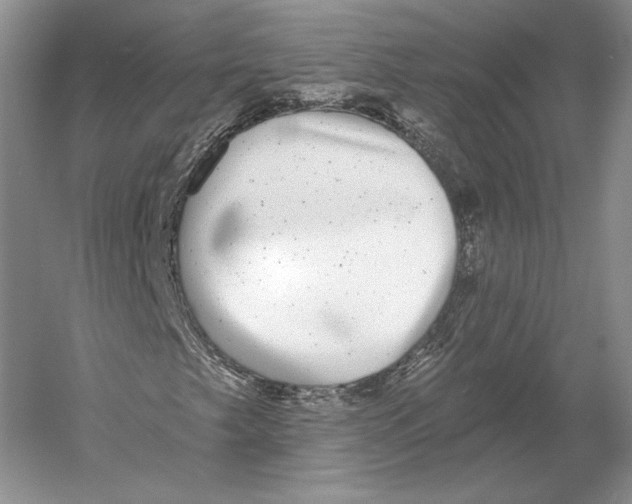 X0000052981249200508051032