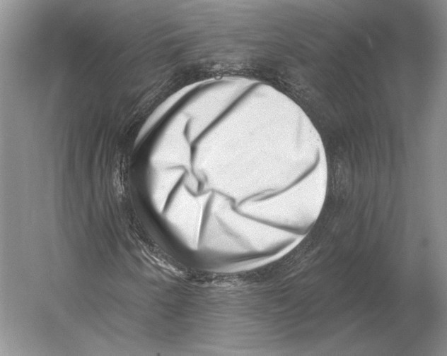 X0000052981250200508051032