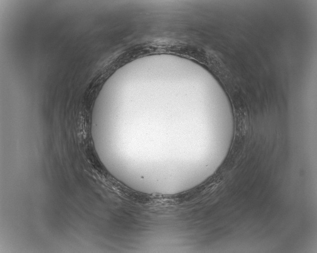 X0000052981253200508051032