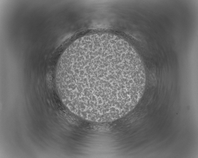 X0000052981254200508051032