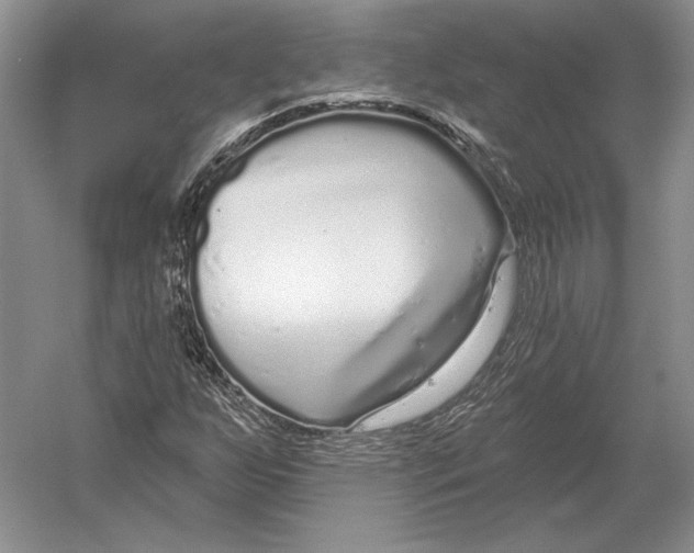 X0000052981255200508051032