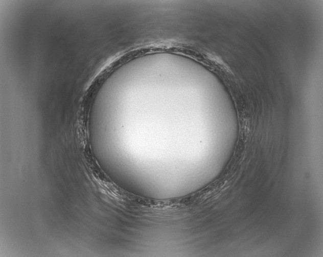 X0000052981256200508051032