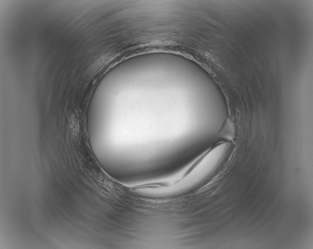 X0000052981257200508051032