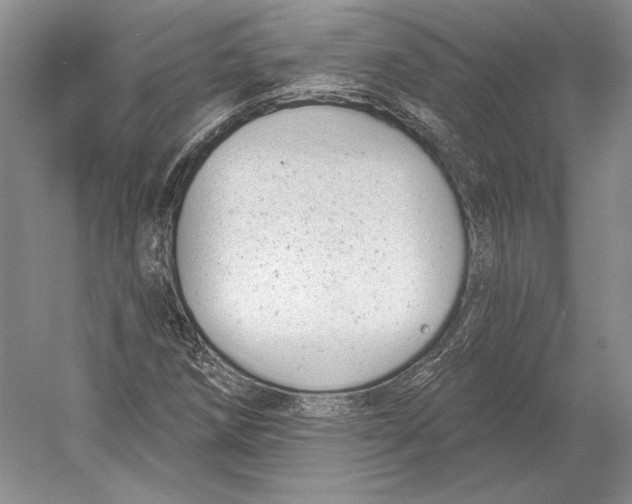 X0000052981258200508051032