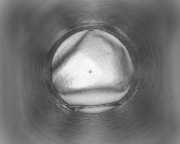 X0000052981259200508051032