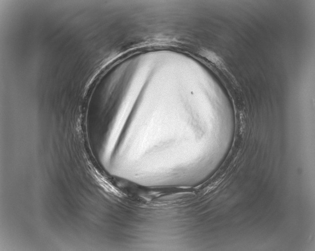 X0000052981260200508051032