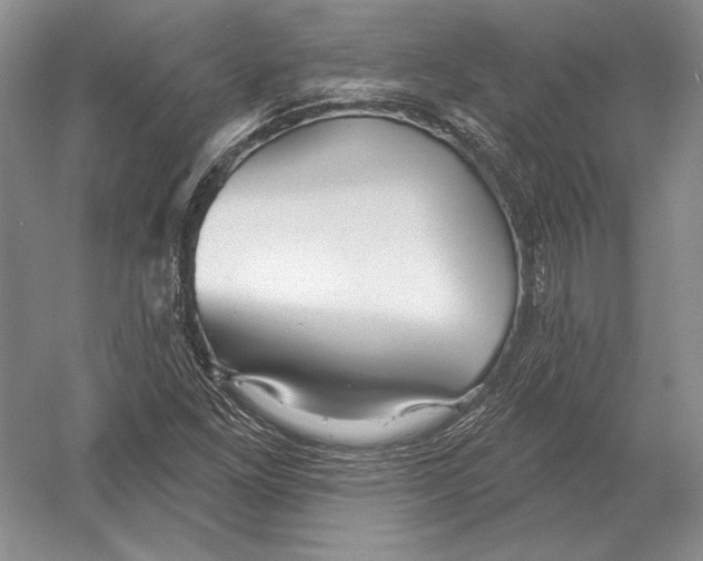 X0000052981261200508051031