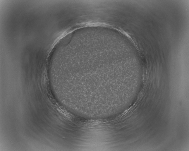 X0000052981263200508051031