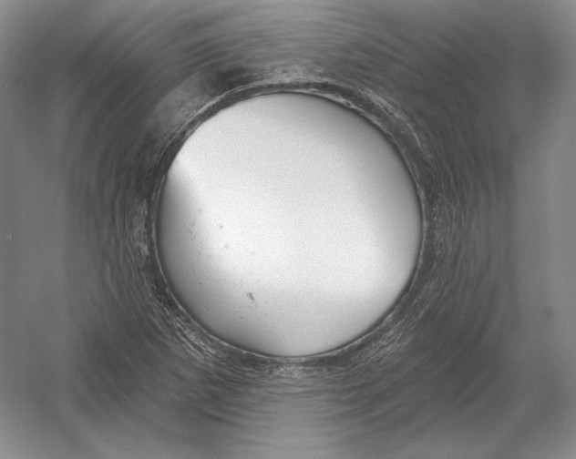 X0000052981265200508051031