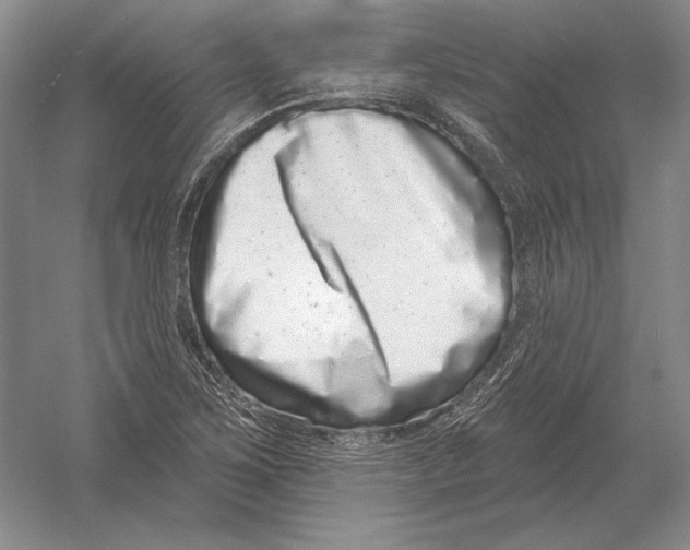 X0000052981267200508051031