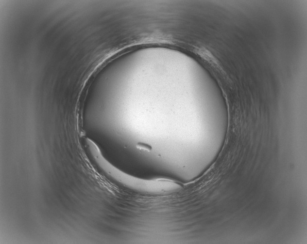 X0000052981268200508051031