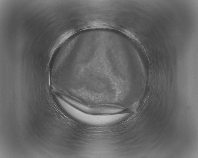 X0000052981269200508051031