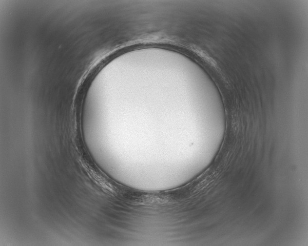 X0000052981270200508051031