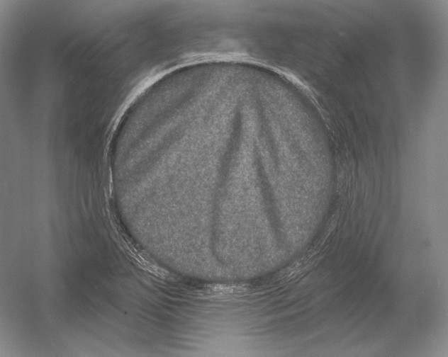 X0000052981271200508051031