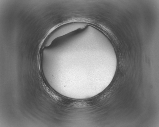 X0000052981272200508051031