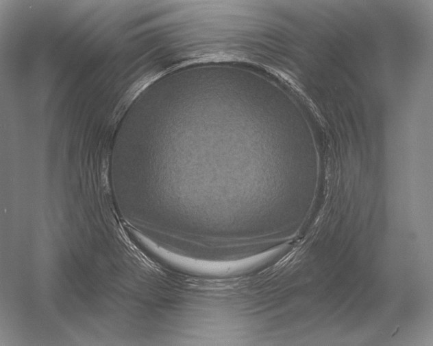 X0000052981273200508051031