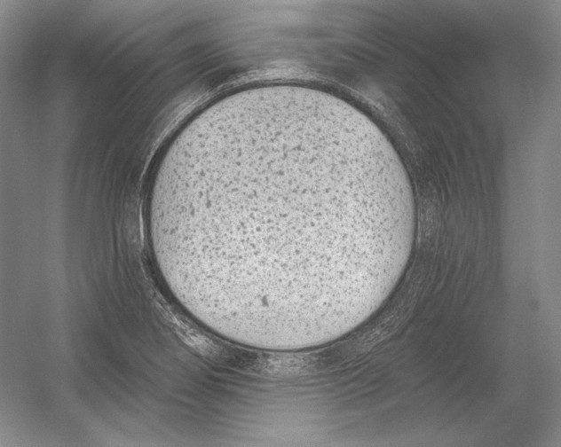 X0000052981274200508051031