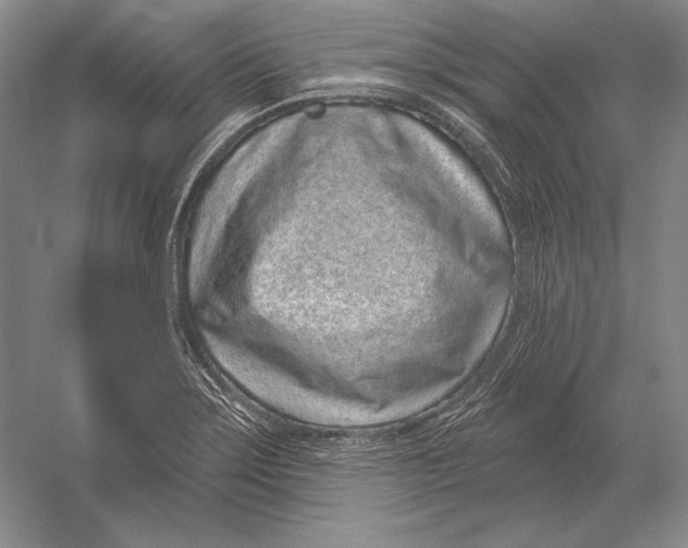 X0000052981275200508051031