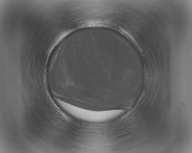 X0000052981277200508051031