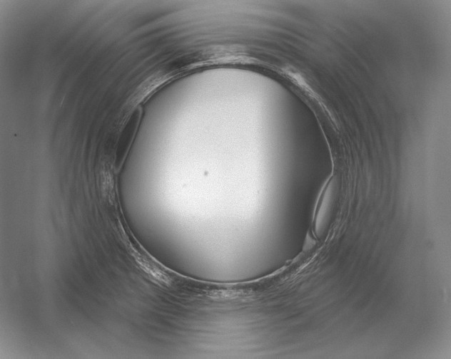 X0000052981281200508051031