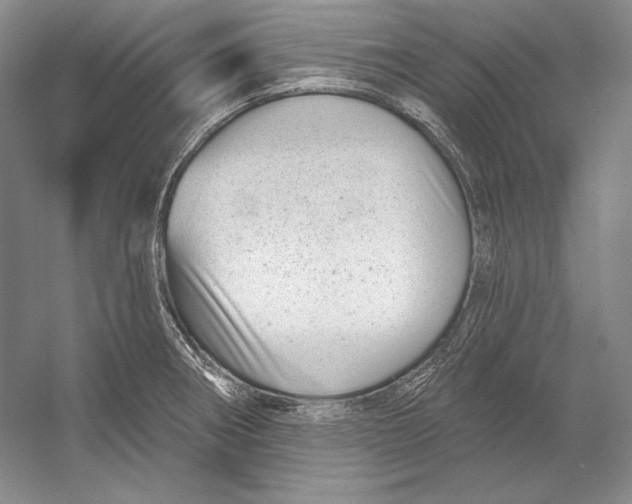 X0000052981282200508051031