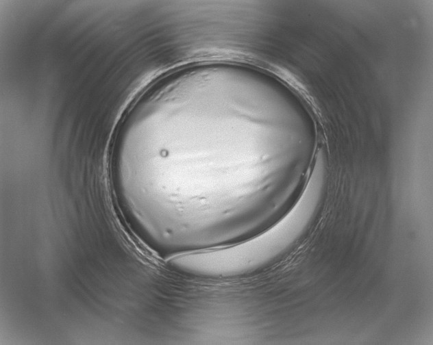 X0000052981283200508051031