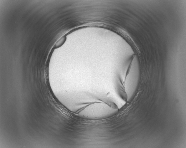 X0000052981284200508051031