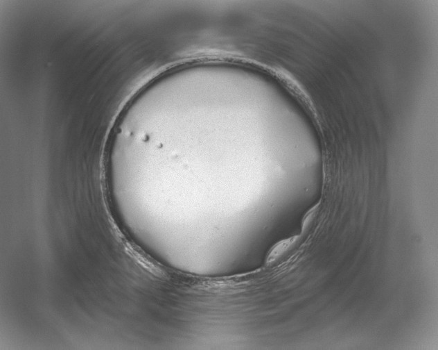 X0000052981287200508051031