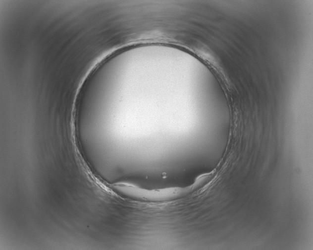 X0000052981288200508051031